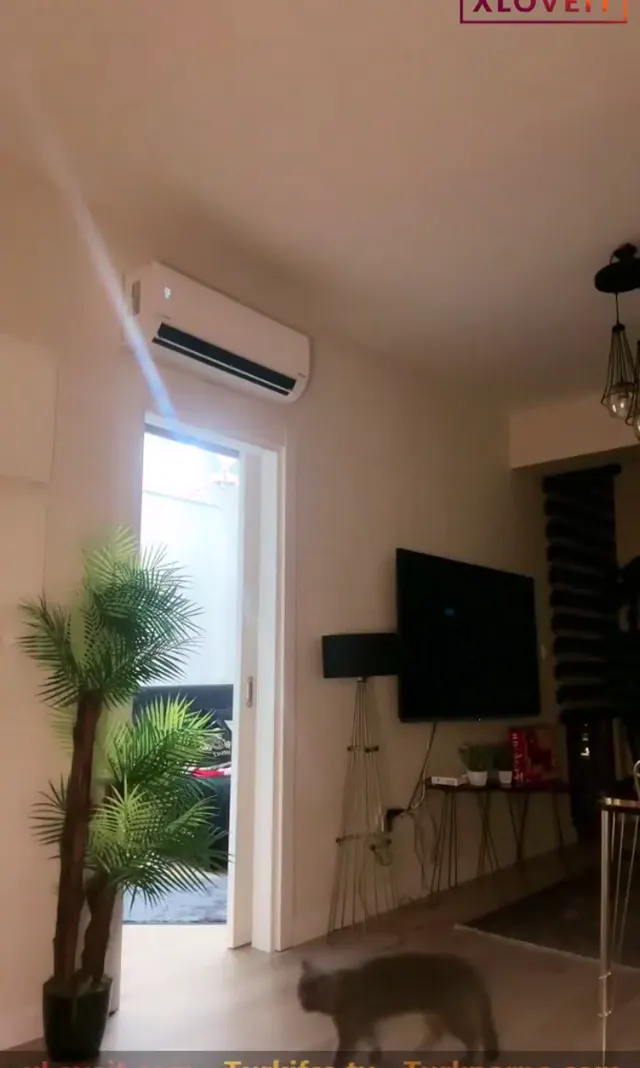 Ceydaria — Ceydaria ifşa Memeler fora amcığa dildo sürttü · sahne 1