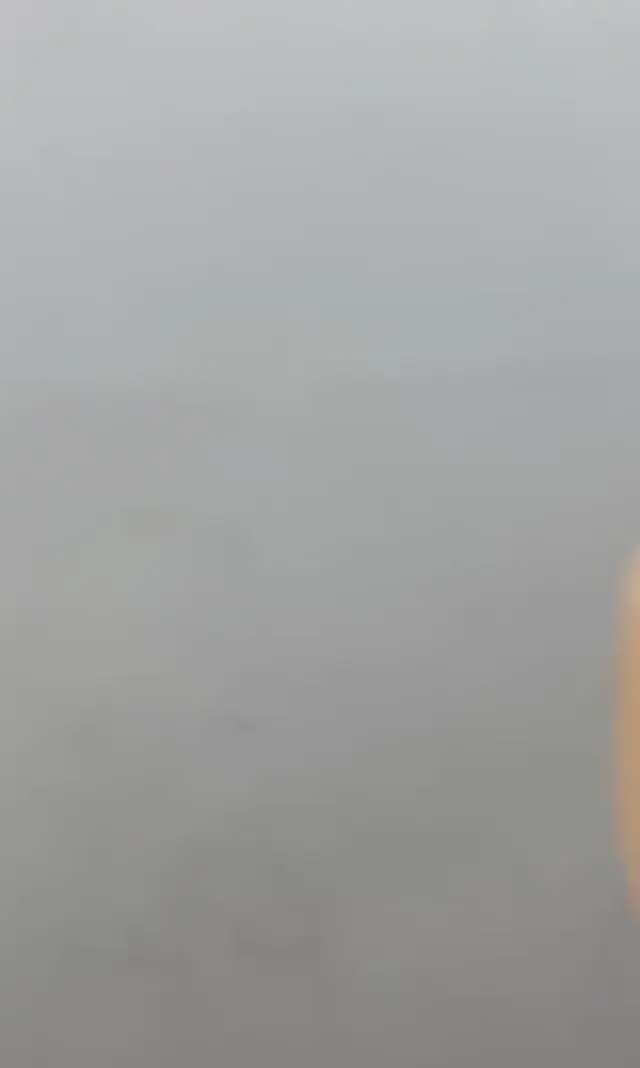 Freya ifşa Sexy hatunun efsane götünü izle — Tango Freya — Canlı Yayınlar · sahne 2