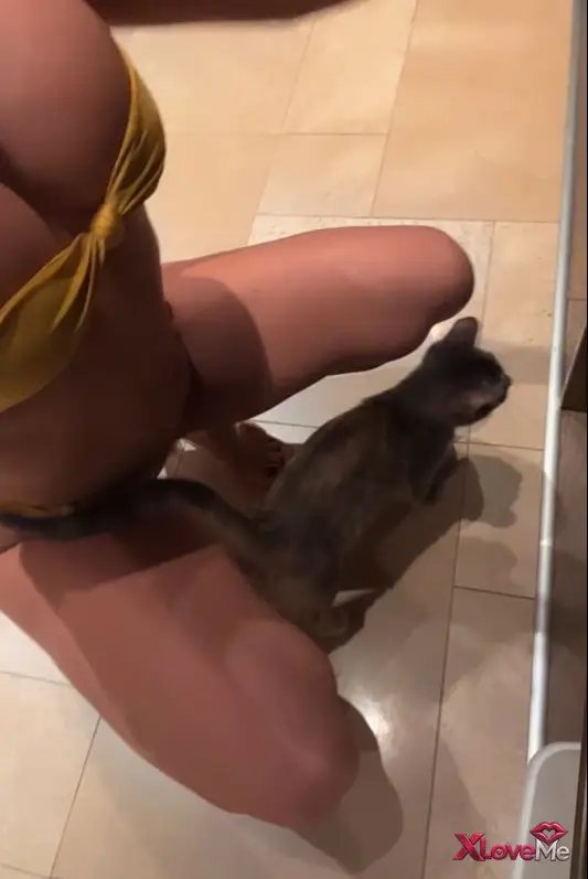 Serpil Cansız ifşa Sarı bikinili mutfakta yayın videosu — Serpil Cansız